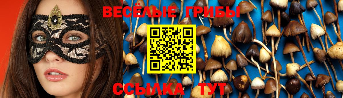 Туапсе  Галлюциногенные грибы Cubensis  Галлюциногенные грибы мицелий  Вход с VPN 